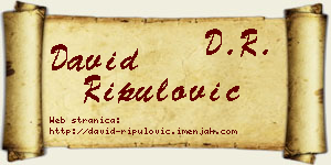 David Ripulović vizit kartica